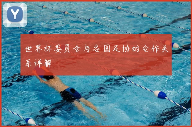 世界杯委员会与各国足协的合作关系详解