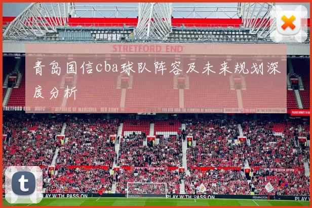 青岛国信cba球队阵容及未来规划深度分析