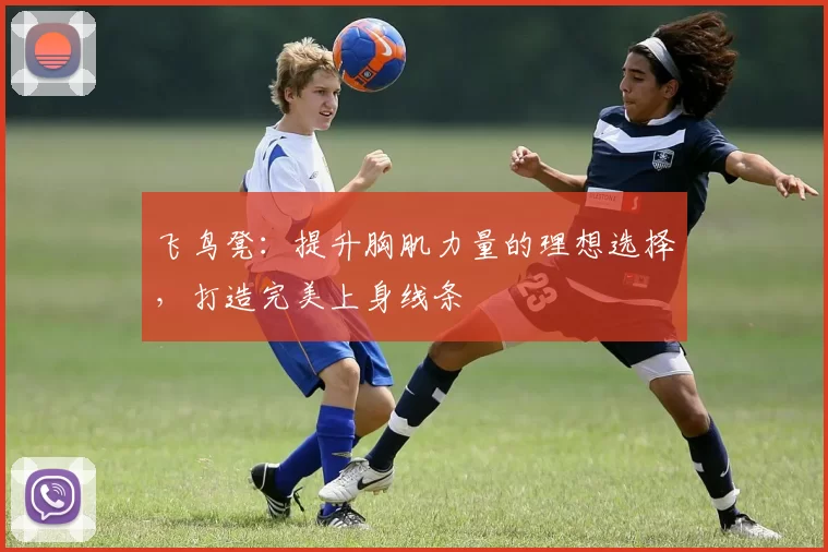 飞鸟凳：提升胸肌力量的理想选择，打造完美上身线条