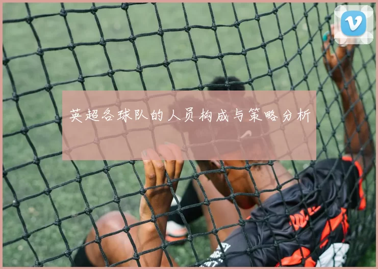 英超各球队的人员构成与策略分析