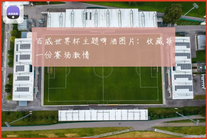 百威世界杯主题啤酒图片:收藏每一份赛场激情