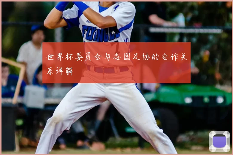 世界杯委员会与各国足协的合作关系详解
