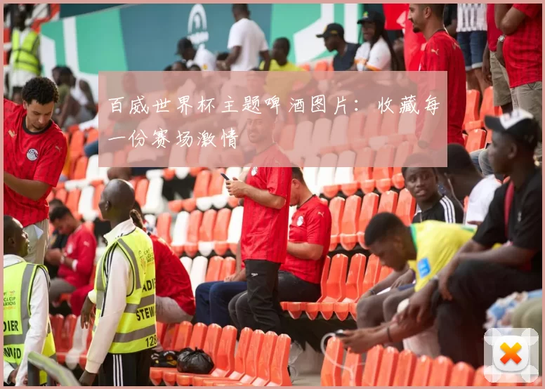 百威世界杯主题啤酒图片:收藏每一份赛场激情