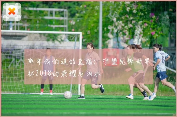 那年我们追的直播:守望先锋世界杯2018的荣耀与泪水