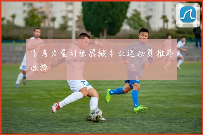 飞鸟力量训练器械专业运动员推荐选择