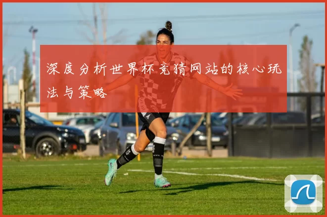 深度分析世界杯竞猜网站的核心玩法与策略