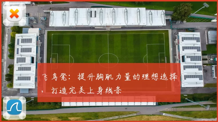 飞鸟凳：提升胸肌力量的理想选择，打造完美上身线条
