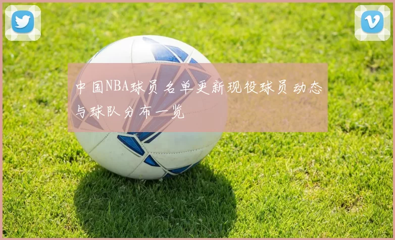中国NBA球员名单更新现役球员动态与球队分布一览