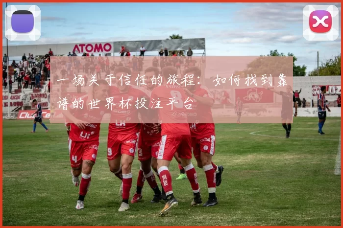 一场关于信任的旅程：如何找到靠谱的世界杯投注平台